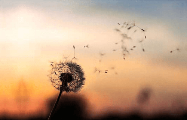 What Is Detachment? Detachment = Attachment + Space
