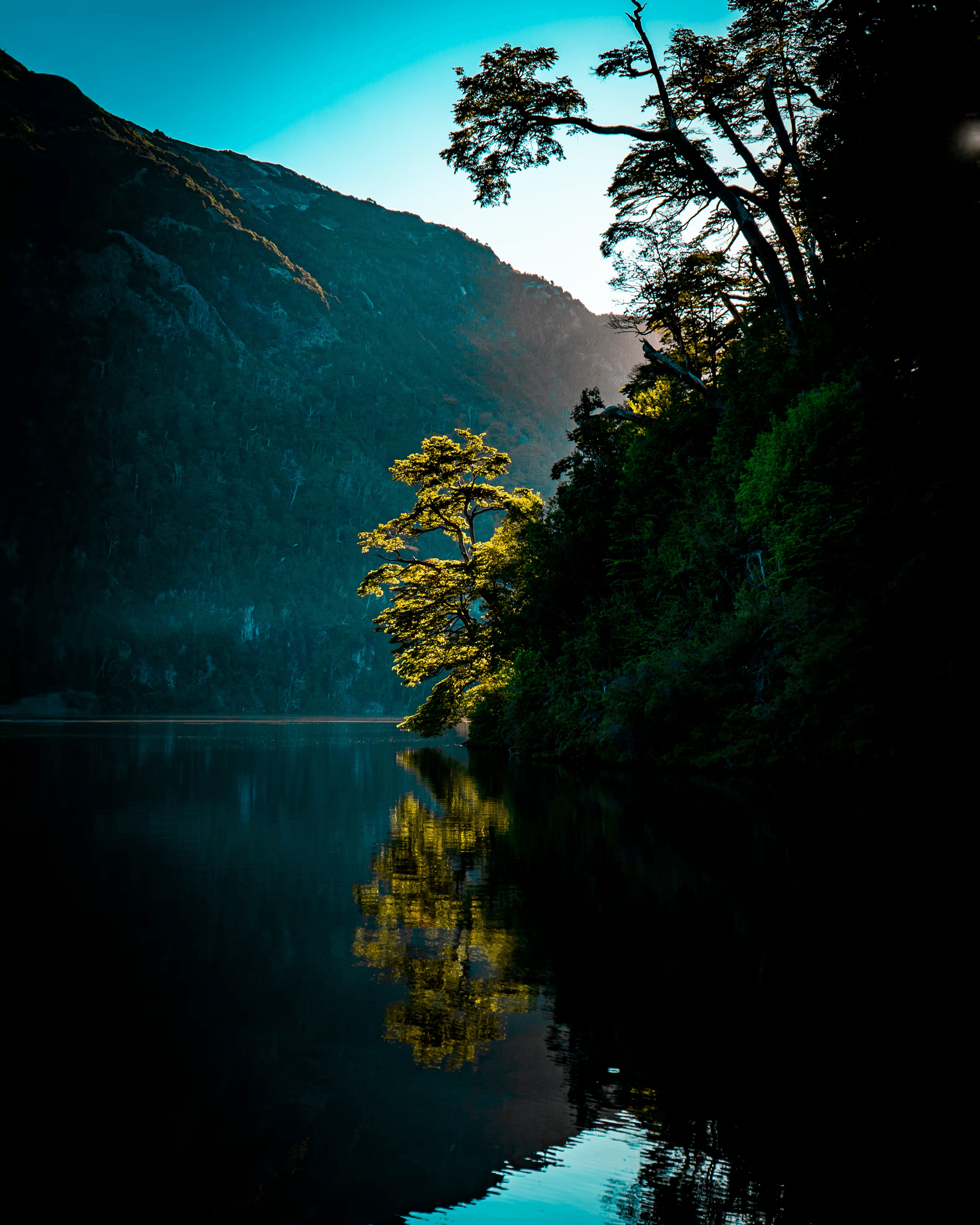 Mountain lake with trees at dusk